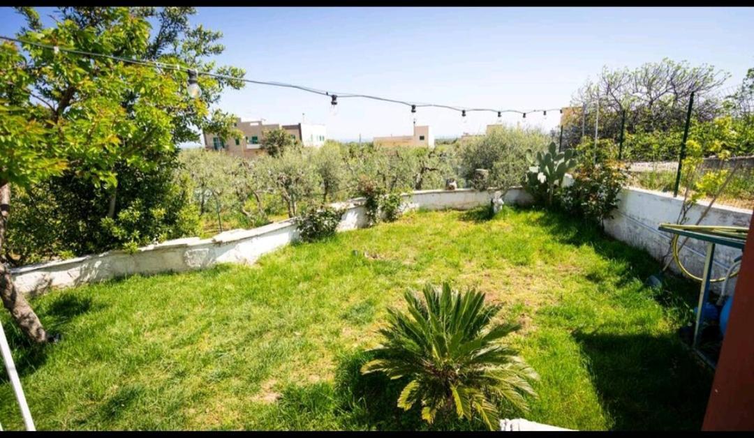 Greenhouse Villa Monopoli Eksteriør billede